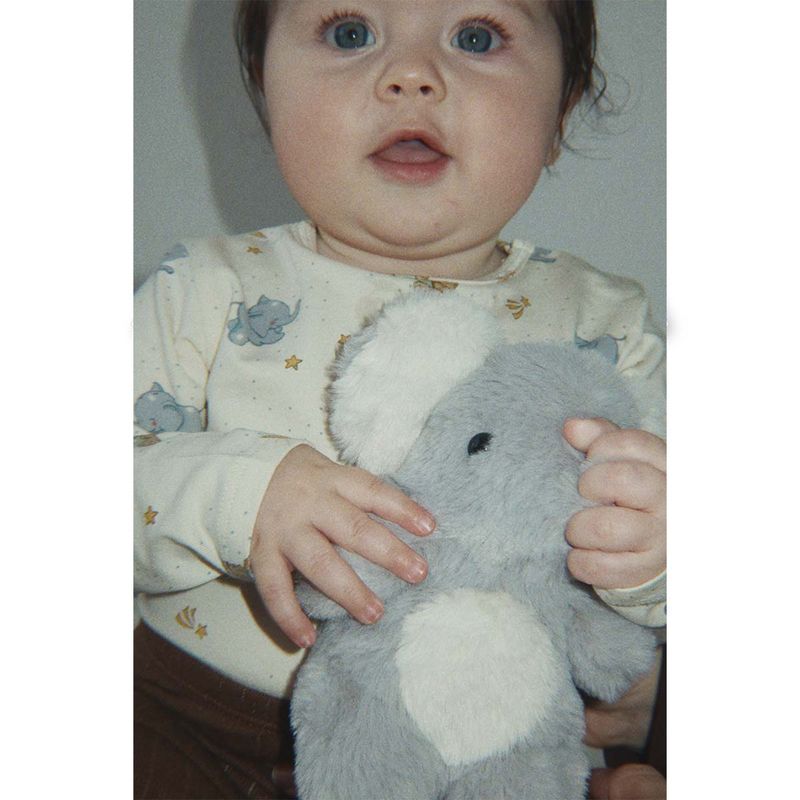 Konges Sløjd body, Cucciolo