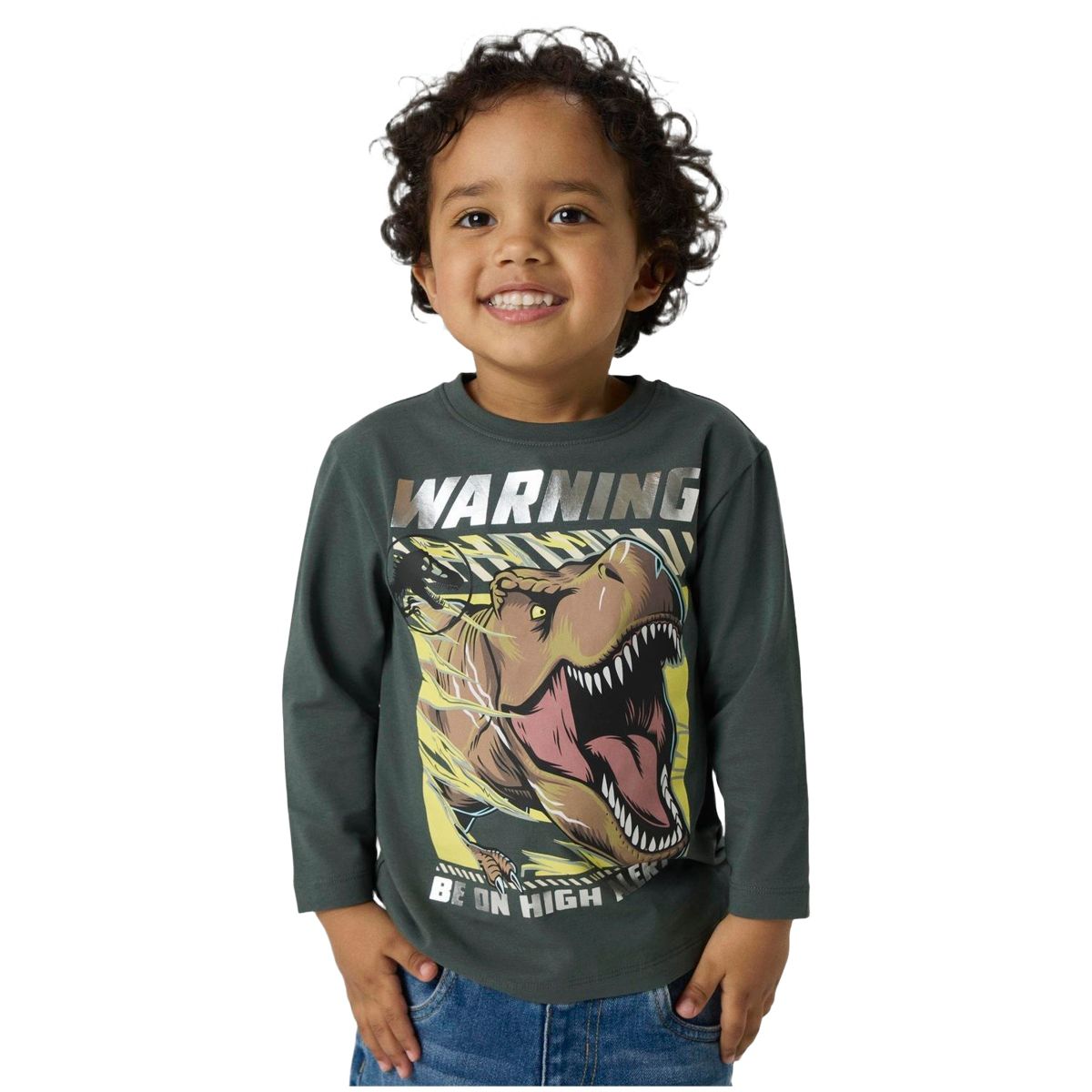 Name It Nmmjim Jurassic genser småbarn, Urban Chic