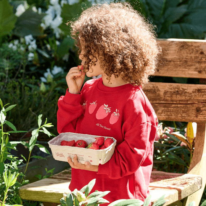 Kids Only Kmggeorgia sweatshirt til småbarn, Barbados Cherry